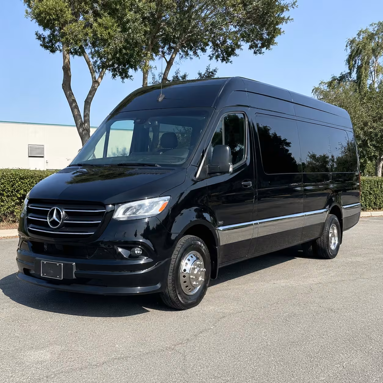 14 passenger sprinter limousine